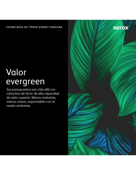 xerox-006r01516-cian-toner-6.jpg