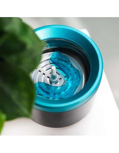 Cecotec ToothCare EasyClean Limpiador Lltrasónico