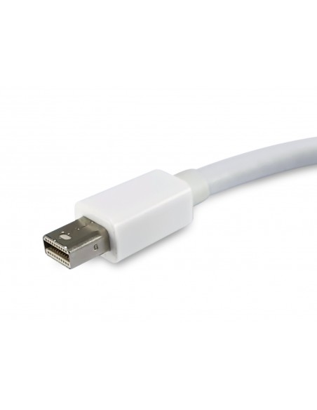 equip-133440-adaptador-mini-displayport-a-displayport-blanco-2.jpg