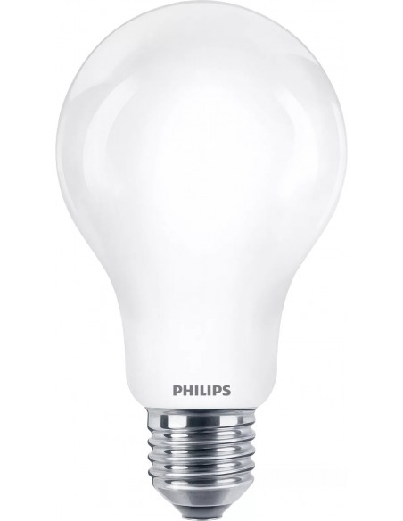 philips-bombilla-led-classic-120w-e27-a67-2452-lumenes-6500k-1.jpg