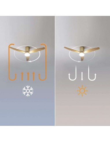Cecotec EnergySilence Aero 5600 Aqua GoldLightWood Connected Ventilador de Techo de 40W, Mando a Distancia y Wi-Fi