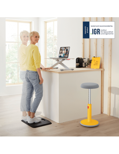 leitz-ergo-cosy-convertidor-de-escritorio-con-bandeja-deslizante-altura-ajustable-8.jpg