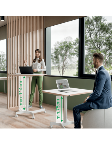 leitz-ergo-escritorio-compacto-manual-80x60cm-blanco-4.jpg