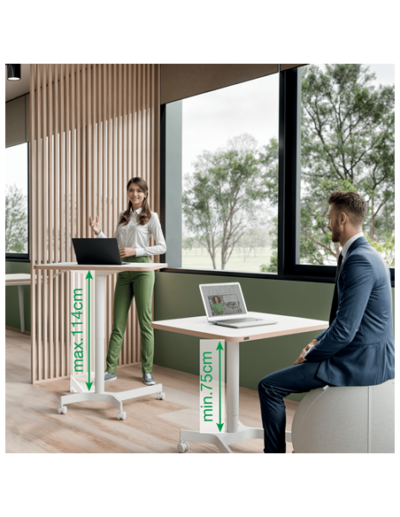 leitz-ergo-escritorio-compacto-manual-80x60cm-blanco-4.jpg