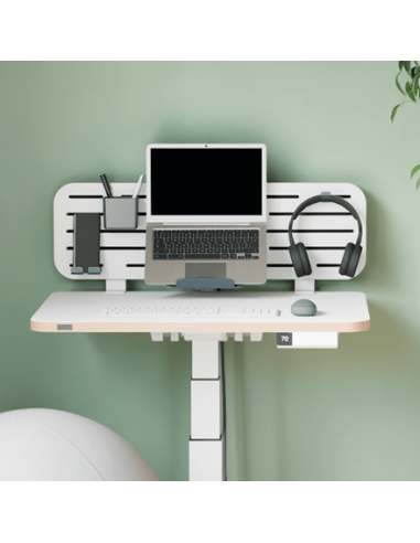 leitz-ergo-panel-organizador-de-escritorio-con-soporte-para-portatil-80x25cm-blanco-2.jpg