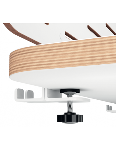 leitz-ergo-panel-organizador-de-escritorio-con-soporte-para-portatil-80x25cm-blanco-8.jpg