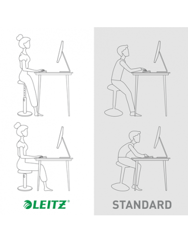 leitz-ergo-cosy-active-taburete-ergonomico-gris-6.jpg