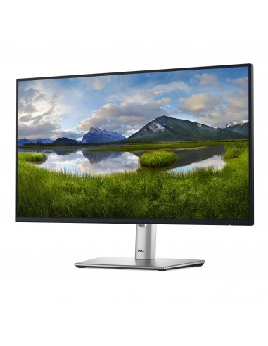 dell-p-series-p2425h-238-led-ips-fullhd-100hz-monitor-2.jpg