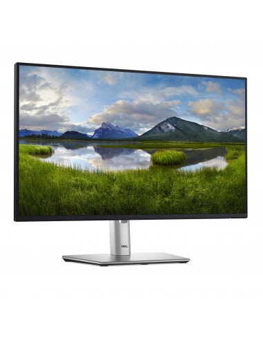 dell-p-series-p2425h-238-led-ips-fullhd-100hz-monitor-3.jpg