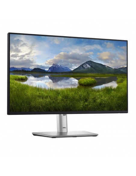 dell-p-series-p2425h-238-led-ips-fullhd-100hz-monitor-3.jpg