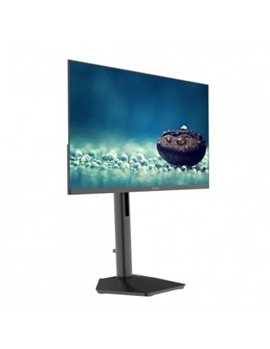 Approx APPM24SBV4 23.8" LED VA FullHD 120Hz Regulable Monitor