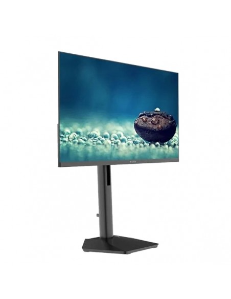 Approx APPM24SBV4 23.8" LED VA FullHD 120Hz Regulable Monitor