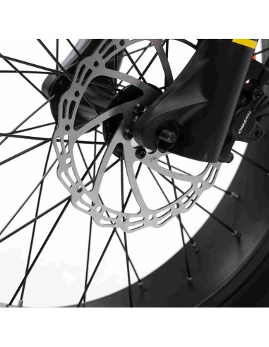 SmartGyro Rhino Bicicleta Eléctrica Plegable FAT 250W Ruedas 20x4" 7 Velocidades