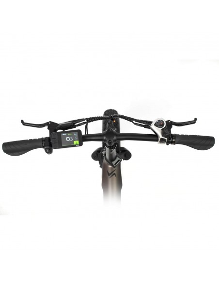 SmartGyro Rhino Bicicleta Eléctrica Plegable FAT 250W Ruedas 20x4" 7 Velocidades