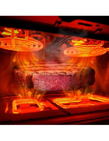 Cecotec Cecofry&Grill Duoheat 10000 Freidora de Aire con Cuatro Resistencias 10 Litros, 2800W