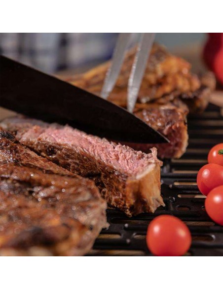 Cecotec Cecofry&Grill Duoheat 10000 Freidora de Aire con Cuatro Resistencias 10 Litros, 2800W