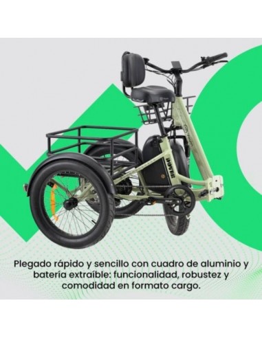 Youin Dover BK6000 Triciclo Eléctrico Plegable Aluminio 250W