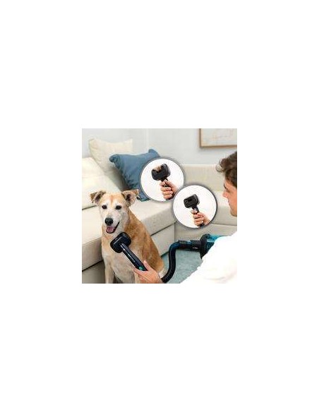 Cecotec Conga Rockstar RX50 Pet Flex Aspirador Escoba sin Cables sin Bolsa, Incluye Cepillo para Animales