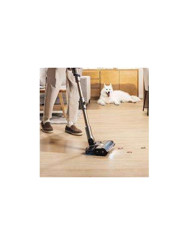 Cecotec Conga Rockstar RX90 AI AquaPet Flex Aspirador Vertical con Cepillo HairLess Antienredos