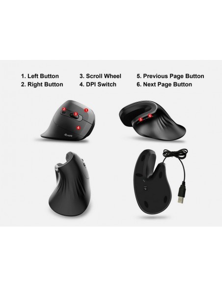 Equip 245119 Ratón Vertical Ergonómico con Cable (USB-C+A)