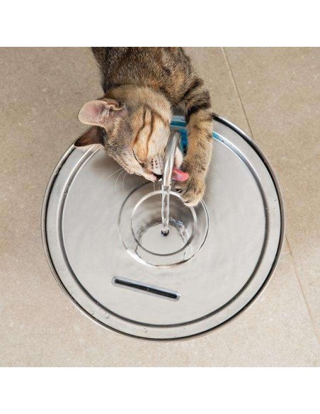 Cecotec Pumba 3200 Refresh Inox Fuente Automática para Mascotas