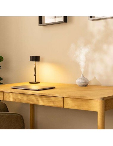 Cecotec Pure Aroma 150 Yang White Humidificador Ultrasónico con Difusor de Aromas