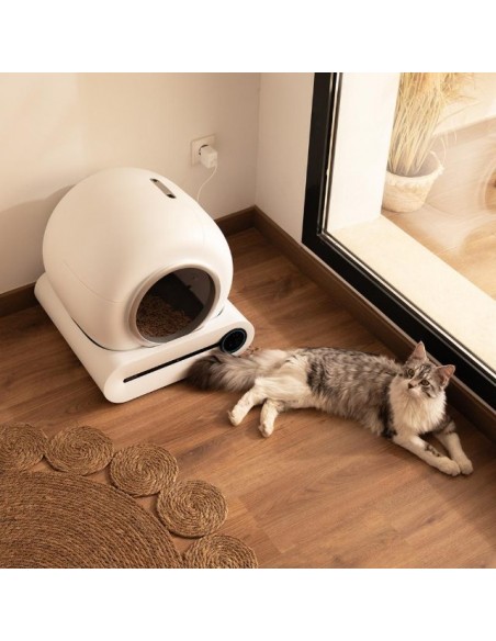 Cecotec Pumba 8500 CleanKitty Smart Arenero con Autolimpieza, WiFi y Pantalla