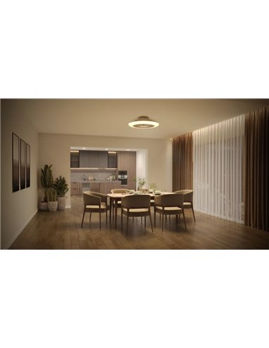 Philips Amigo 42+20W Ventilador de Techo con Luz LED Regulable y Mando a Distancia