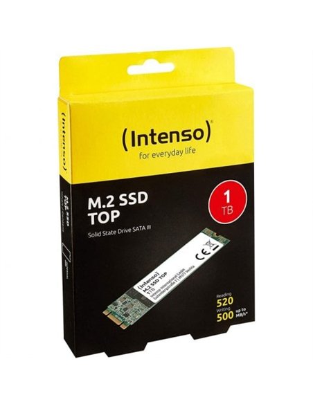 Intenso Top 1TB SSD M.2 SATA 3 Disco Duro