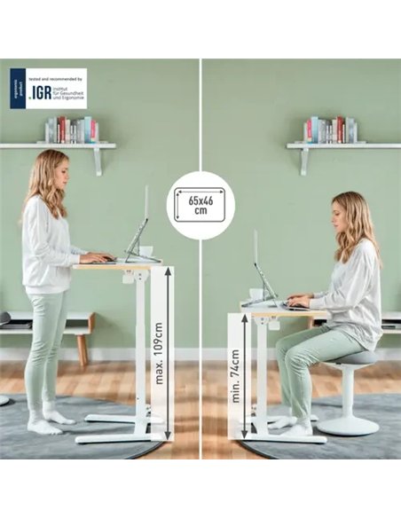 Leitz Ergo Escritorio de Pie y Sentado Plegable 65x46cm Blanco