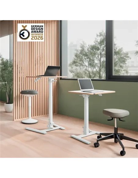 Leitz Ergo Escritorio de Pie y Sentado Plegable 65x46cm Blanco