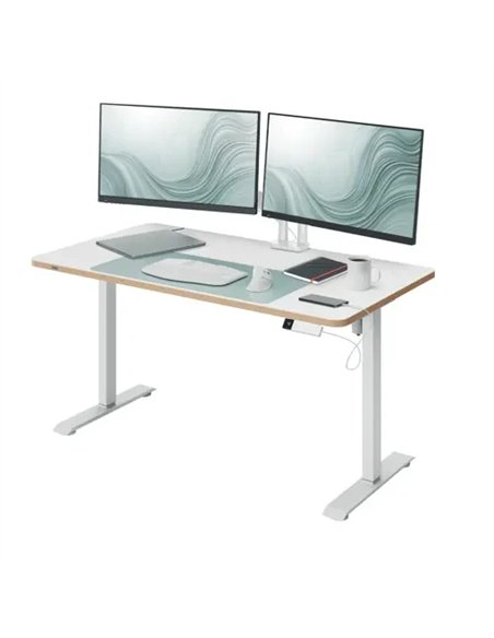 Leitz Ergo Escritorio Eléctrico Compacto 120x70cm Altura Regulable 60kg