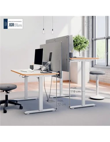 Leitz Ergo Escritorio Eléctrico Compacto 120x70cm Altura Regulable 60kg