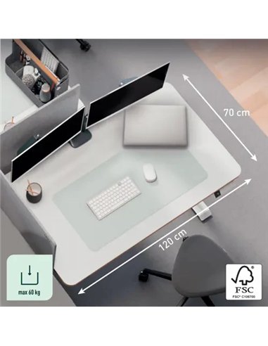 Leitz Ergo Escritorio Eléctrico Compacto 120x70cm Altura Regulable 60kg