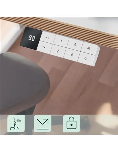 Leitz Ergo Escritorio Eléctrico Compacto 120x70cm Altura Regulable 60kg