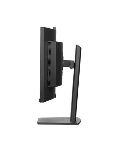 iiyama ProLite XCB3497WQSNPH-B1 34" LED VA UWQHD 120Hz USB-C RJ45 Negro Monitor Curvo