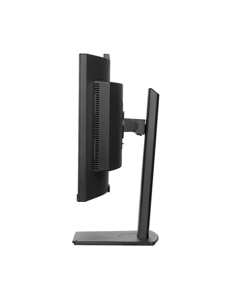 iiyama ProLite XCB3497WQSNPH-B1 34" LED VA UWQHD 120Hz USB-C RJ45 Negro Monitor Curvo
