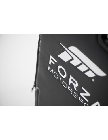 playseat-forza-motorsport-pro-asiento-de-carreras-negro-57.jpg