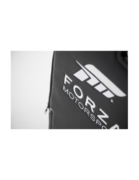 playseat-forza-motorsport-pro-asiento-de-carreras-negro-57.jpg