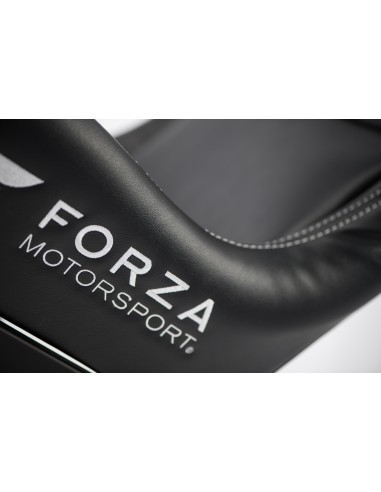 playseat-forza-motorsport-pro-asiento-de-carreras-negro-60.jpg