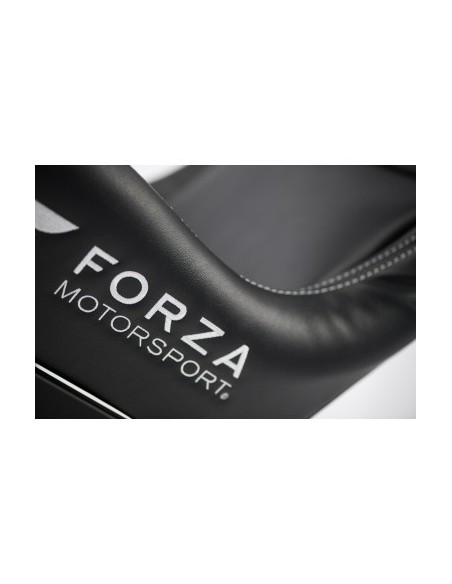 playseat-forza-motorsport-pro-asiento-de-carreras-negro-60.jpg