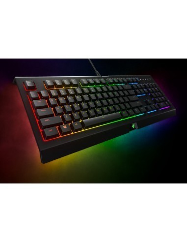 razer-cynosa-chroma-teclado-gaming-retroiluminacion-6.jpg