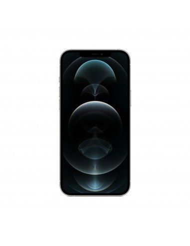 apple-iphone-12-pro-max-256gb-plata-1.jpg