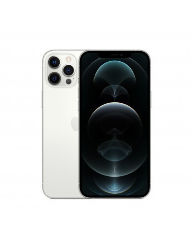 apple-iphone-12-pro-max-256gb-plata-2.jpg