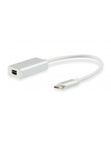 equip-cable-usb-tipo-c-macho-a-mini-displayport-hembra-15cm-1.jpg