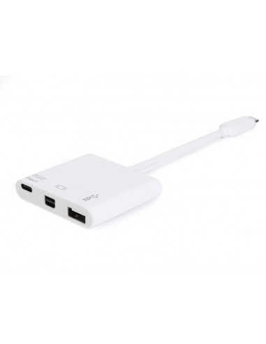 equip-adaptador-usb-c-a-mini-displayport-usb-30-usb-c-blanco-1.jpg