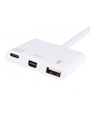equip-adaptador-usb-c-a-mini-displayport-usb-30-usb-c-blanco-2.jpg