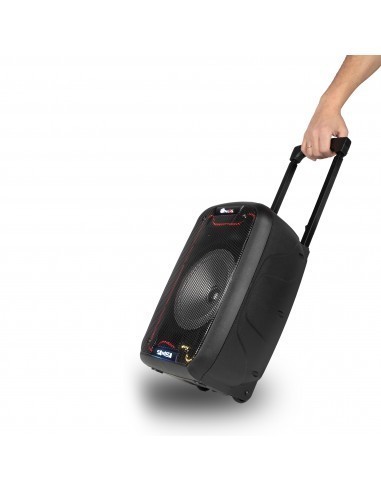 ngs-wild-samba-altavoz-portatil-30w-6.jpg