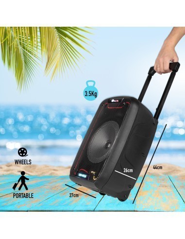 ngs-wild-samba-altavoz-portatil-30w-8.jpg