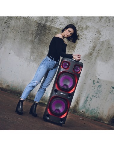 ngs-wild-ska-2-altavoz-bluetooth-800w-negro-3.jpg